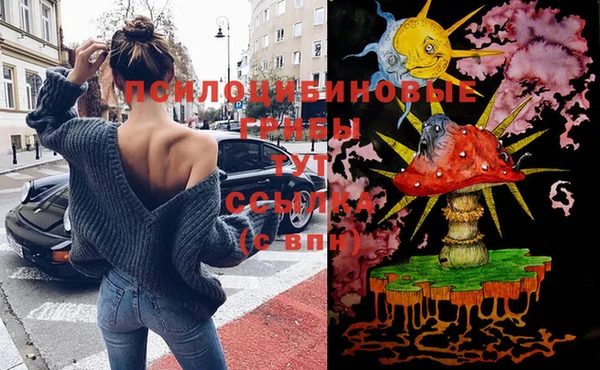 хмурый Кинешма
