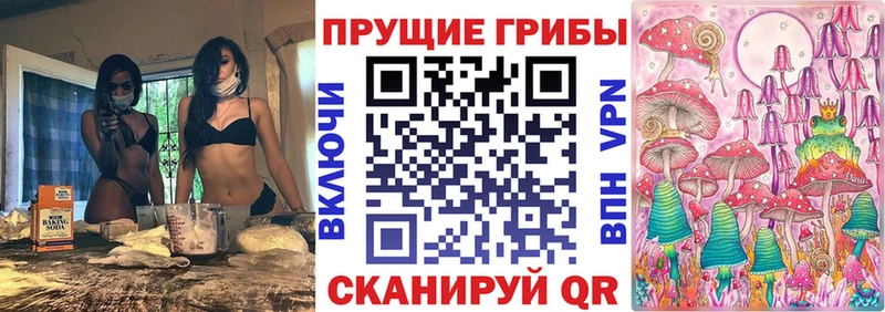 Купить  Цоци-Юрт  Галлюциногенные грибы Psilocybe 